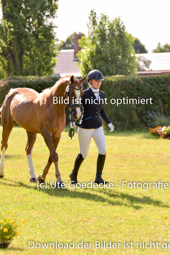 Goldene Schärpe Ponys in Hohenberg Krusemark 2024 | 14072024 Vormustern_294