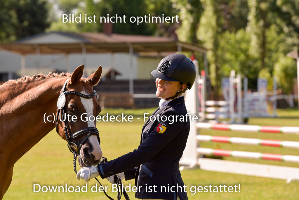 Goldene Schärpe Ponys in Hohenberg Krusemark 2024 | 14072024 Vormustern_295