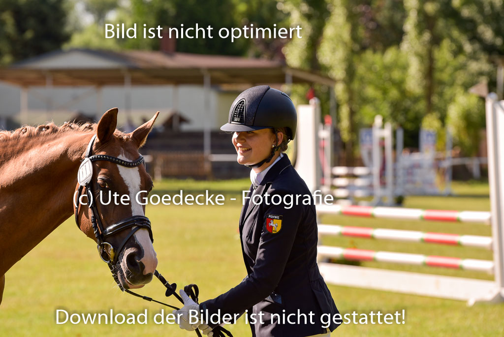 Goldene Schärpe Ponys in Hohenberg Krusemark 2024 | 14072024 Vormustern_296