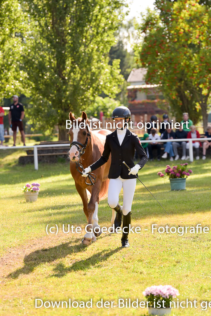 Goldene Schärpe Ponys in Hohenberg Krusemark 2024 | 14072024 Vormustern_297