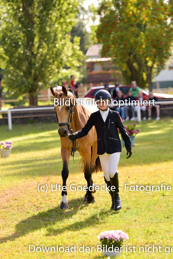 Goldene Schärpe Ponys in Hohenberg Krusemark 2024 | 14072024 Vormustern_300