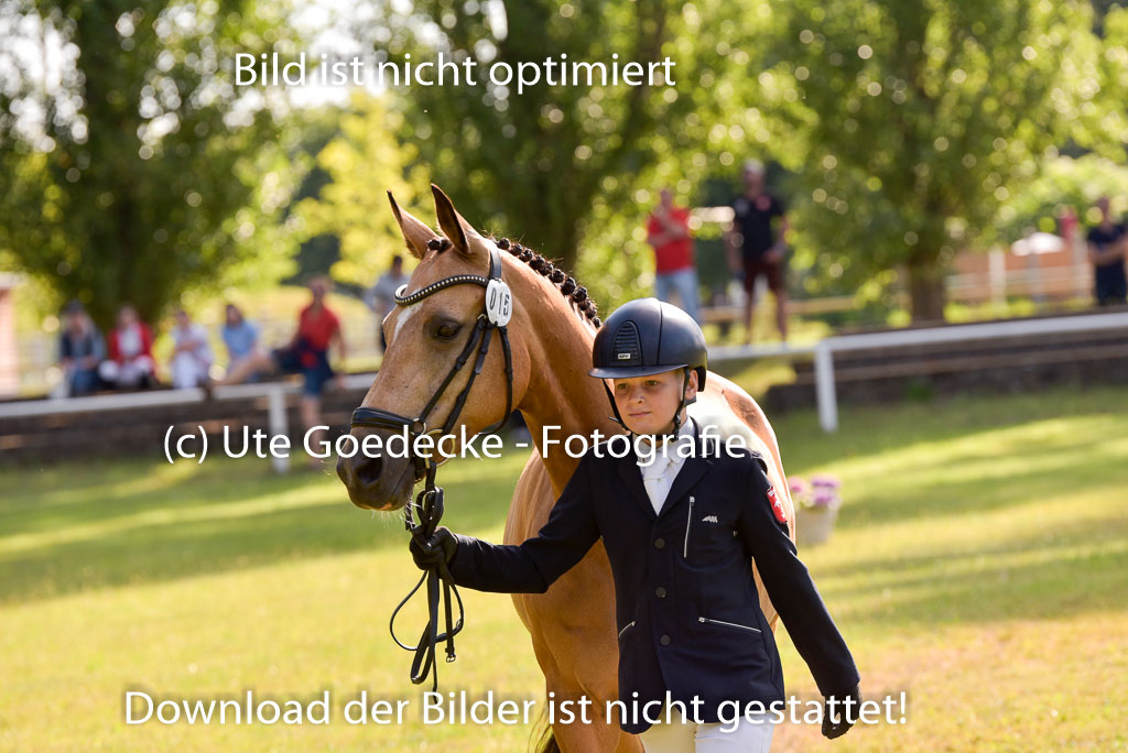 Goldene Schärpe Ponys in Hohenberg Krusemark 2024 | 14072024 Vormustern_301
