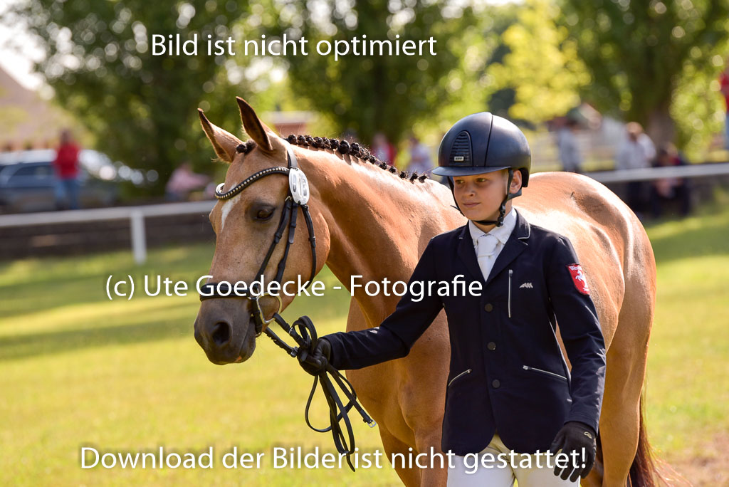 Goldene Schärpe Ponys in Hohenberg Krusemark 2024 | 14072024 Vormustern_302
