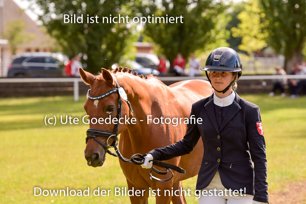 Goldene Schärpe Ponys in Hohenberg Krusemark 2024 | 14072024 Vormustern_400