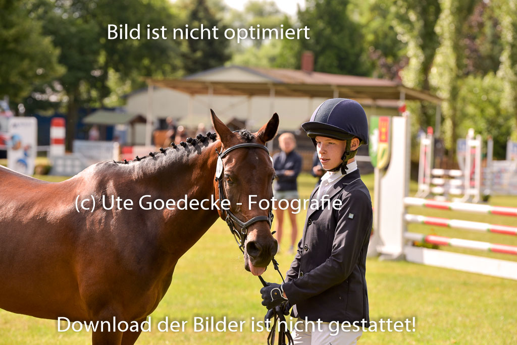 Goldene Schärpe Ponys in Hohenberg Krusemark 2024 | 14072024 Vormustern_402