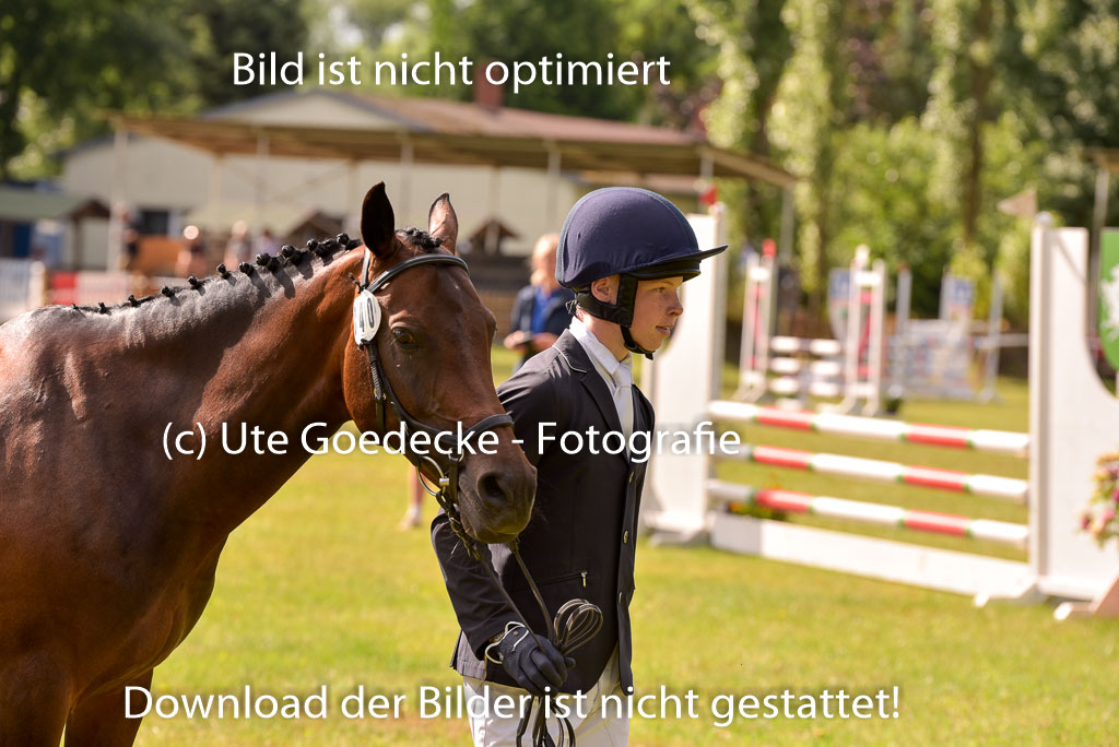 Goldene Schärpe Ponys in Hohenberg Krusemark 2024 | 14072024 Vormustern_403
