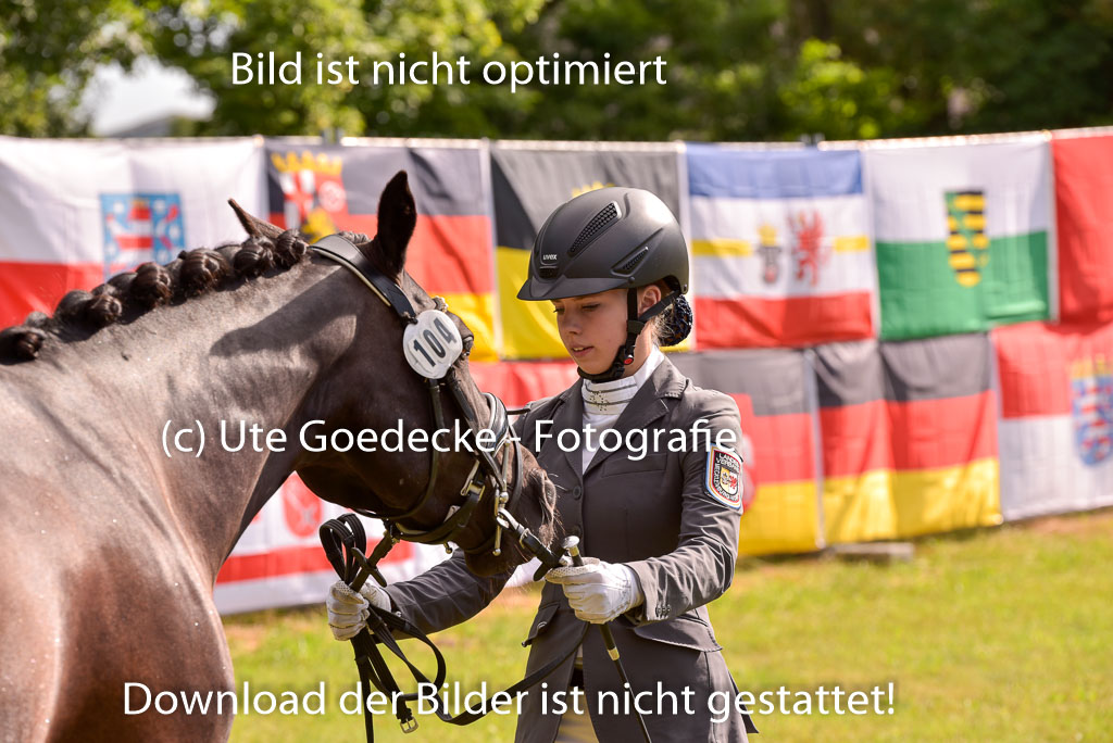 Goldene Schärpe Ponys in Hohenberg Krusemark 2024 | 14072024 Vormustern_404