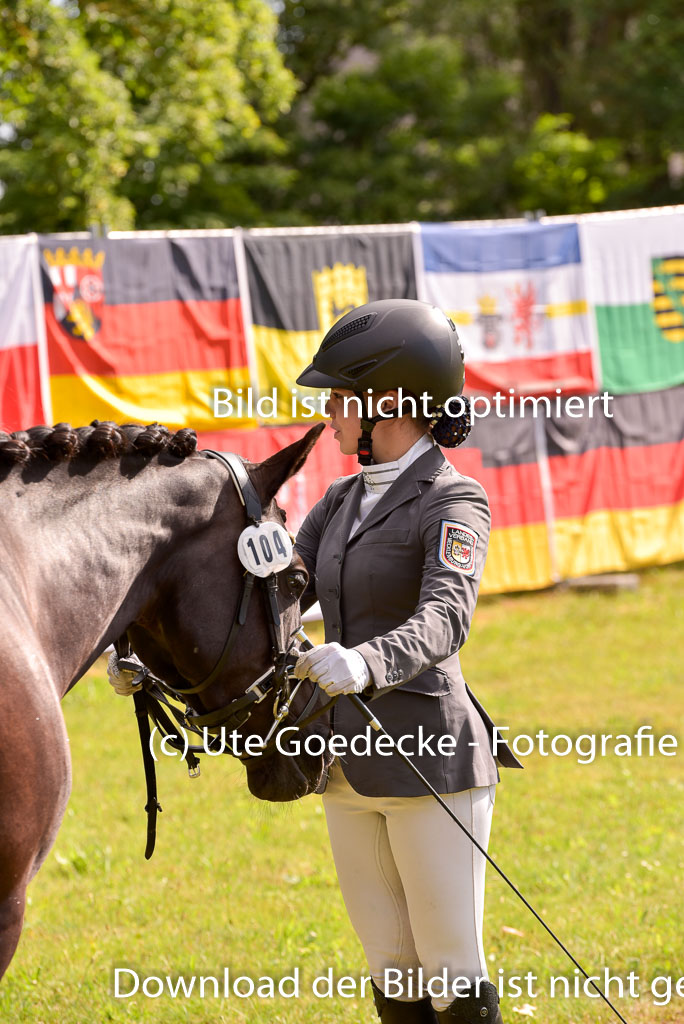 Goldene Schärpe Ponys in Hohenberg Krusemark 2024 | 14072024 Vormustern_405