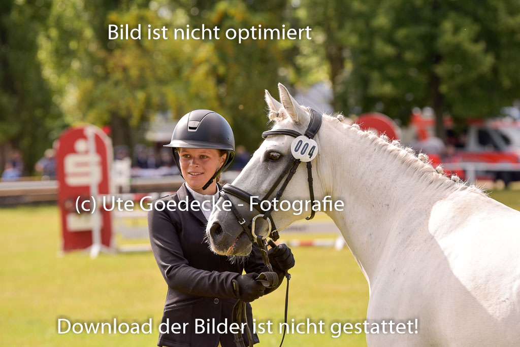 Goldene Schärpe Ponys in Hohenberg Krusemark 2024 | 14072024 Vormustern_406