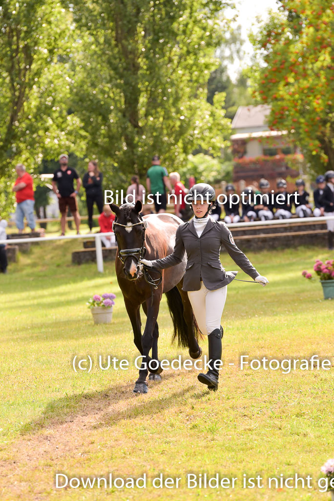 Goldene Schärpe Ponys in Hohenberg Krusemark 2024 | 14072024 Vormustern_407