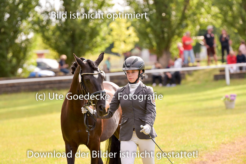 Goldene Schärpe Ponys in Hohenberg Krusemark 2024 | 14072024 Vormustern_409