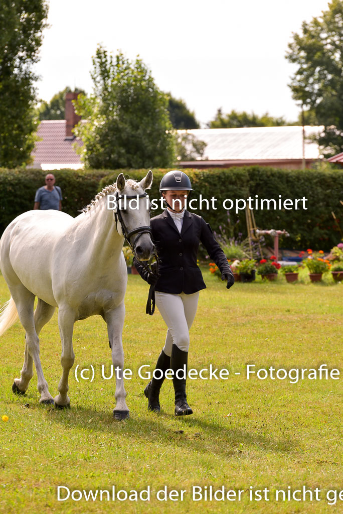 Goldene Schärpe Ponys in Hohenberg Krusemark 2024 | 14072024 Vormustern_410