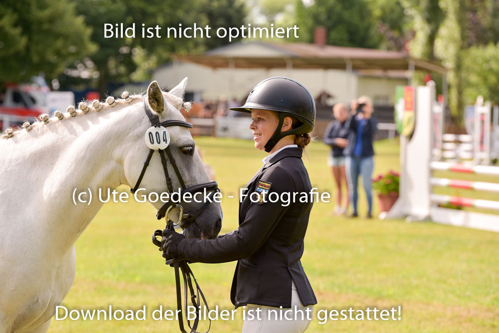 Goldene Schärpe Ponys in Hohenberg Krusemark 2024 | 14072024 Vormustern_411