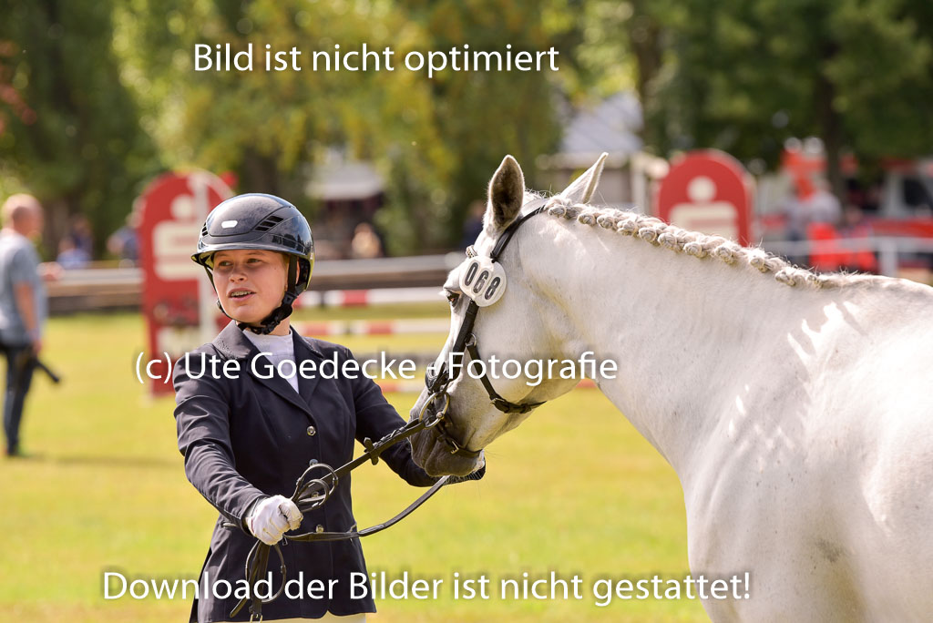 Goldene Schärpe Ponys in Hohenberg Krusemark 2024 | 14072024 Vormustern_412