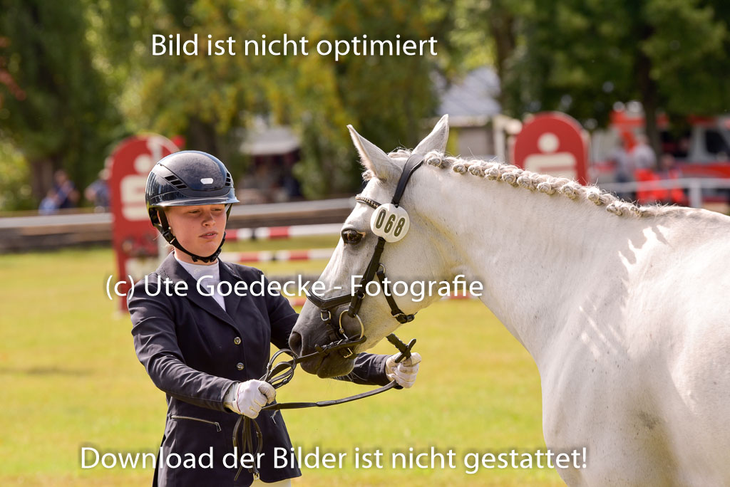 Goldene Schärpe Ponys in Hohenberg Krusemark 2024 | 14072024 Vormustern_413