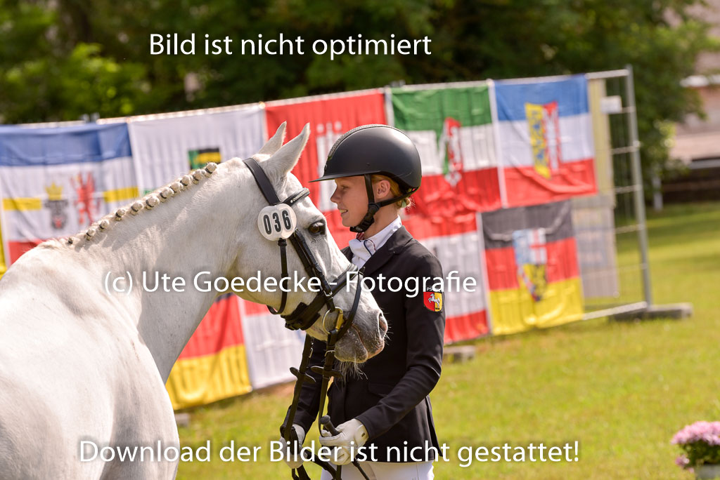 Goldene Schärpe Ponys in Hohenberg Krusemark 2024 | 14072024 Vormustern_415