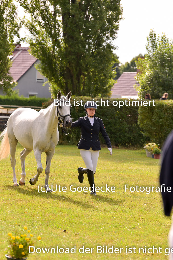 Goldene Schärpe Ponys in Hohenberg Krusemark 2024 | 14072024 Vormustern_416