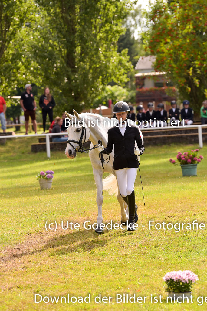 Goldene Schärpe Ponys in Hohenberg Krusemark 2024 | 14072024 Vormustern_417