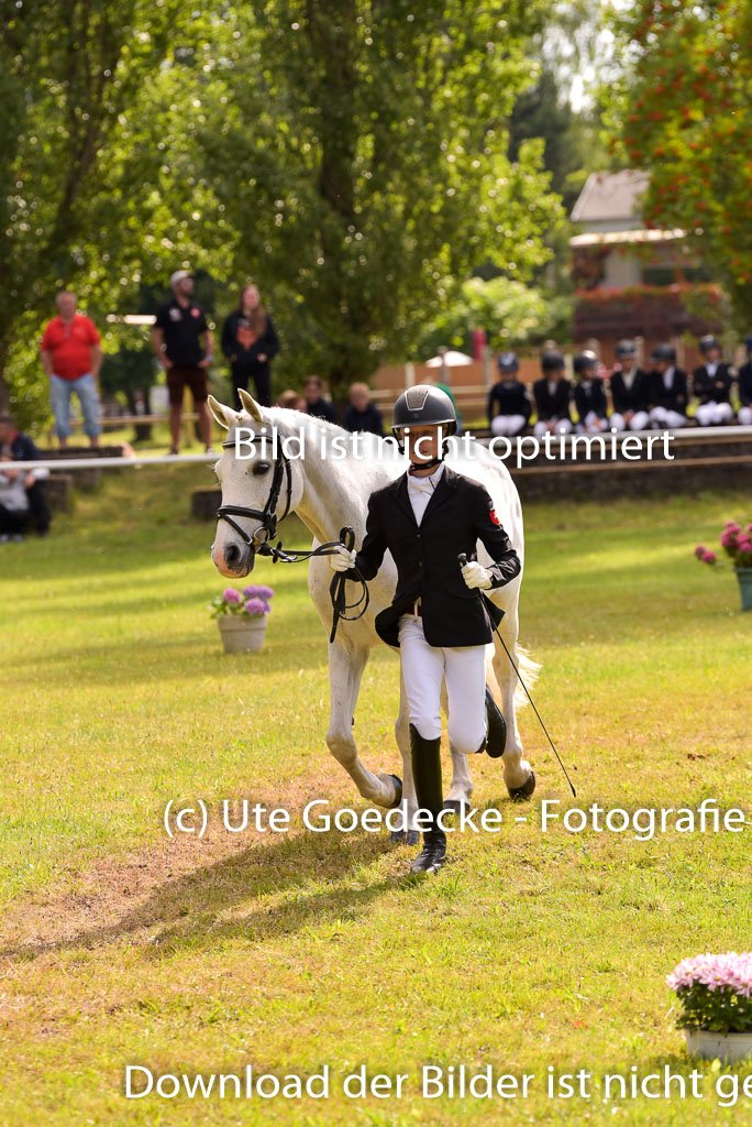 Goldene Schärpe Ponys in Hohenberg Krusemark 2024 | 14072024 Vormustern_418