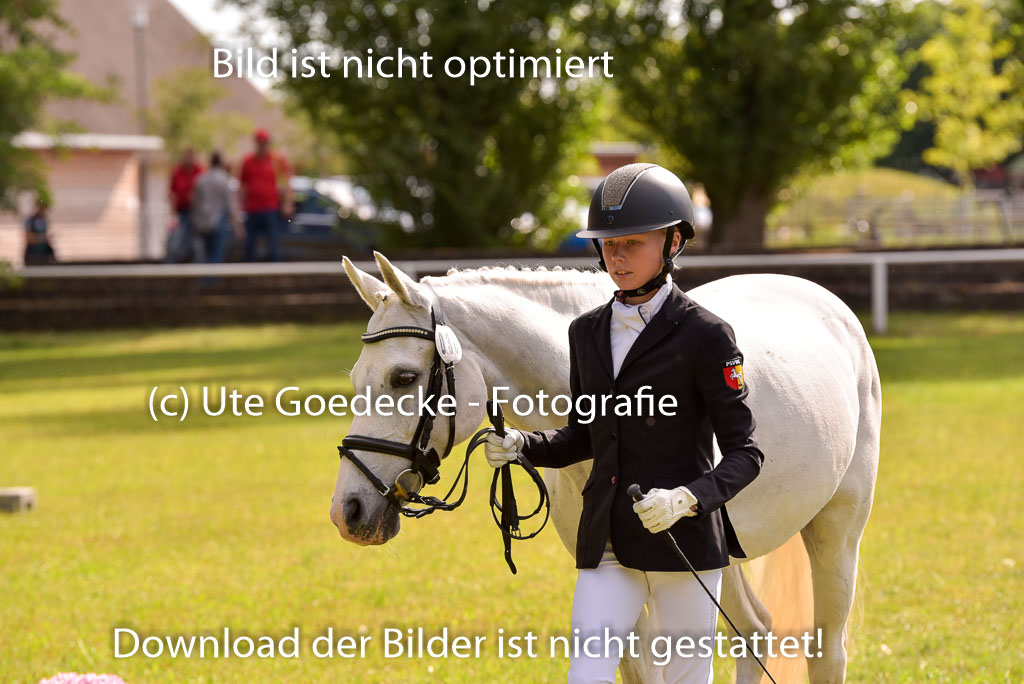 Goldene Schärpe Ponys in Hohenberg Krusemark 2024 | 14072024 Vormustern_420