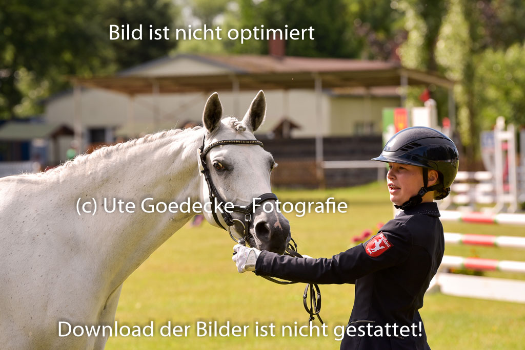 Goldene Schärpe Ponys in Hohenberg Krusemark 2024 | 14072024 Vormustern_421
