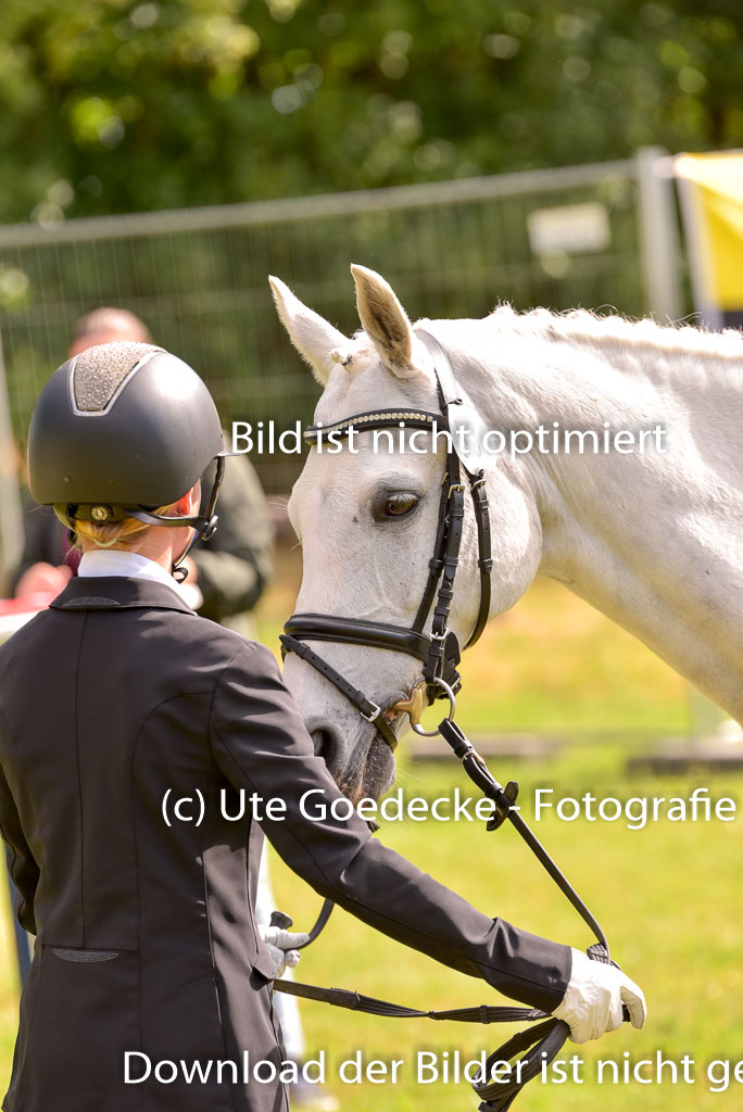 Goldene Schärpe Ponys in Hohenberg Krusemark 2024 | 14072024 Vormustern_422