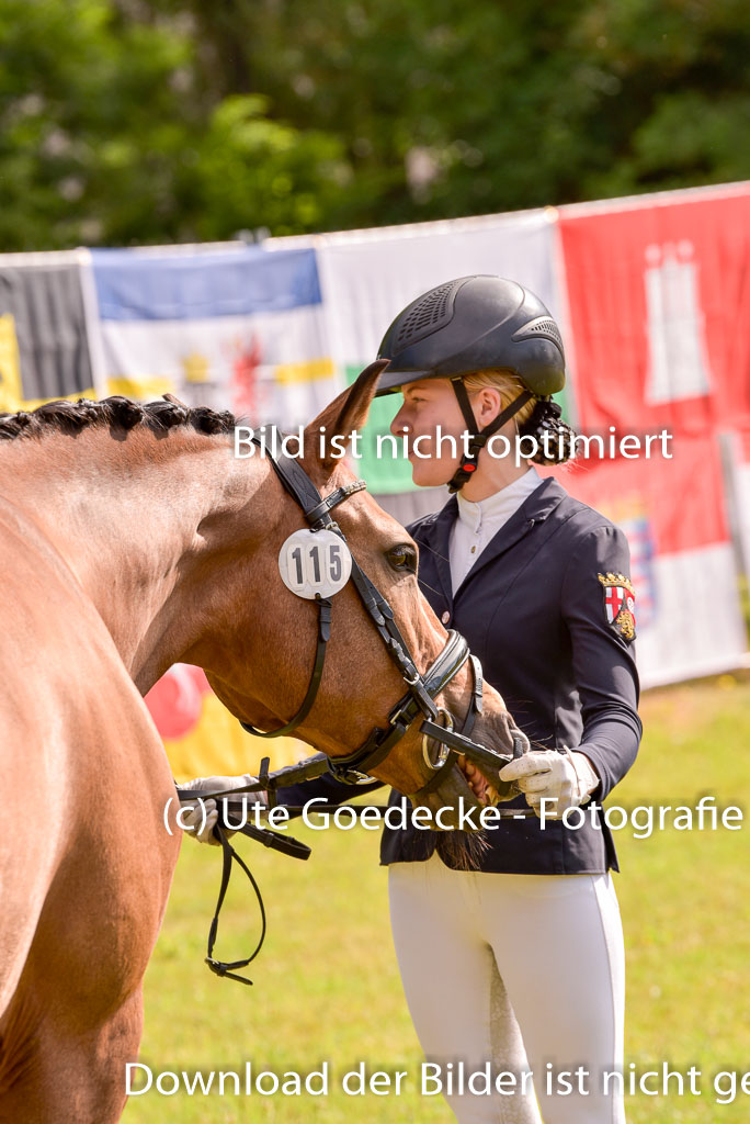 Goldene Schärpe Ponys in Hohenberg Krusemark 2024 | 14072024 Vormustern_424