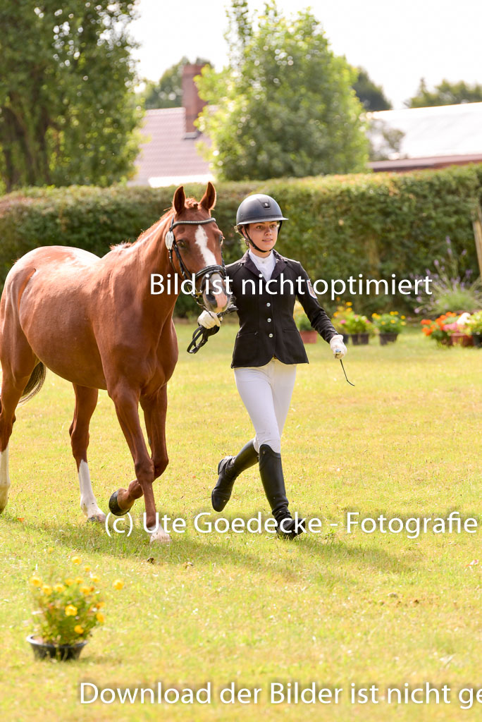 Goldene Schärpe Ponys in Hohenberg Krusemark 2024 | 14072024 Vormustern_425