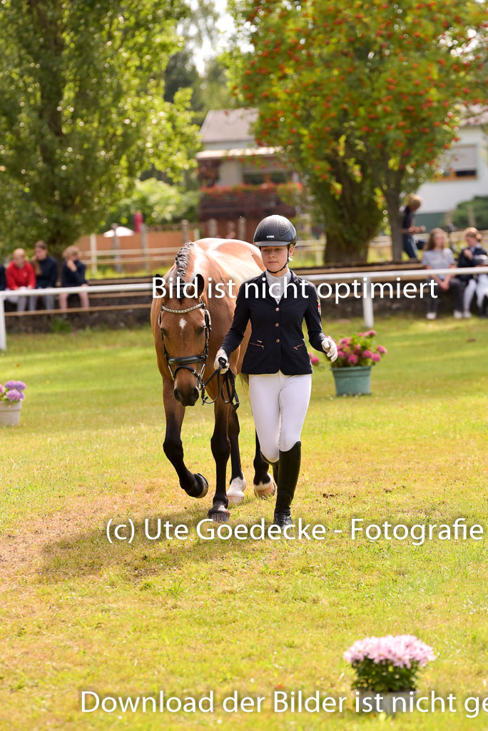Goldene Schärpe Ponys in Hohenberg Krusemark 2024 | 14072024 Vormustern_427