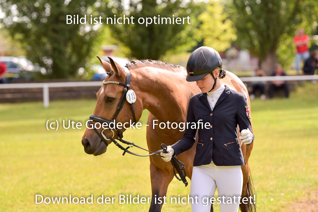 Goldene Schärpe Ponys in Hohenberg Krusemark 2024 | 14072024 Vormustern_428