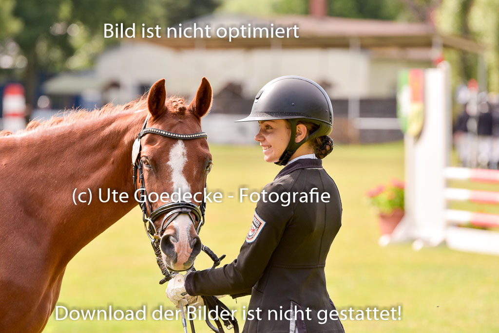 Goldene Schärpe Ponys in Hohenberg Krusemark 2024 | 14072024 Vormustern_429