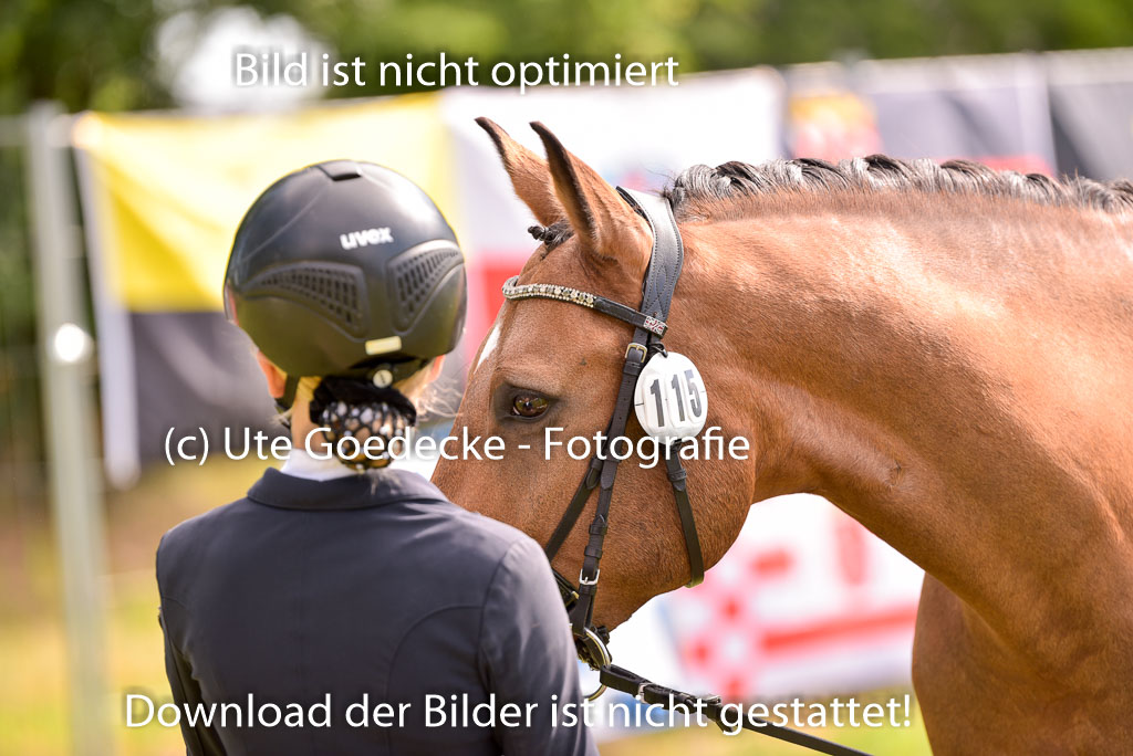 Goldene Schärpe Ponys in Hohenberg Krusemark 2024 | 14072024 Vormustern_430