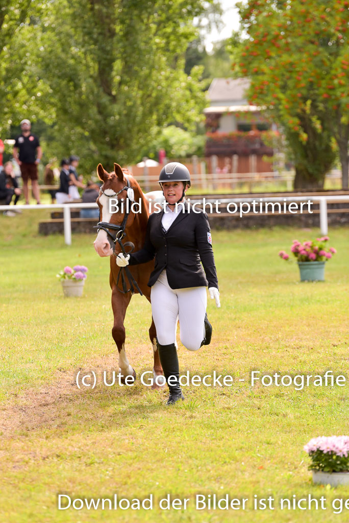 Goldene Schärpe Ponys in Hohenberg Krusemark 2024 | 14072024 Vormustern_433