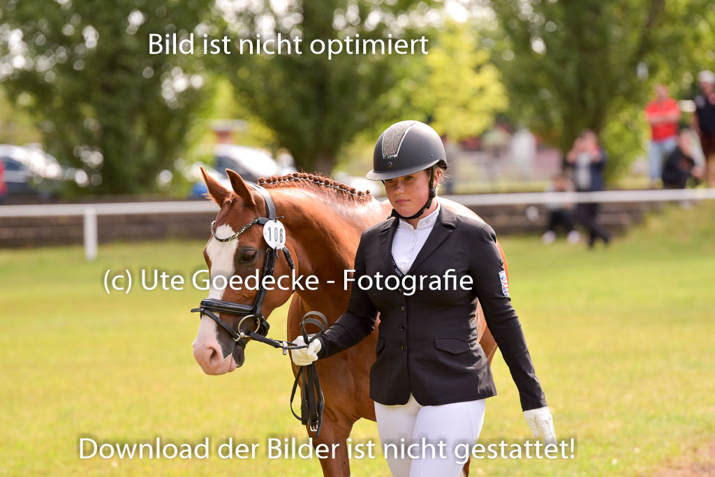Goldene Schärpe Ponys in Hohenberg Krusemark 2024 | 14072024 Vormustern_434