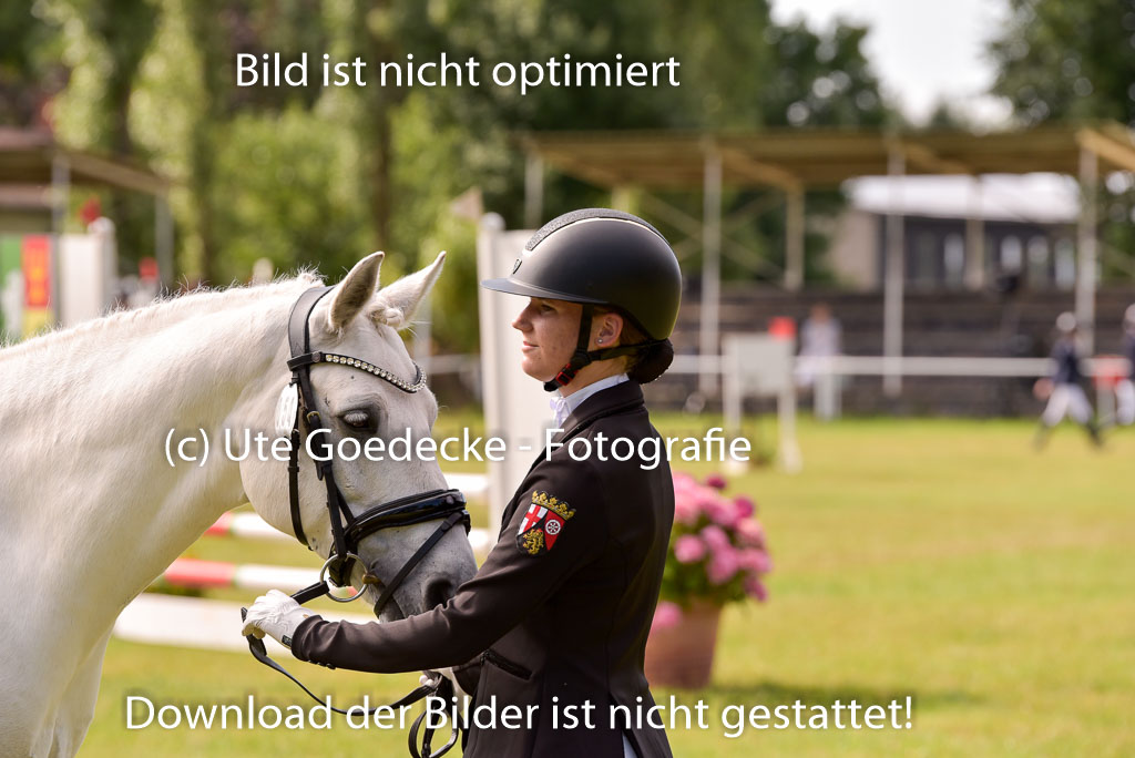Goldene Schärpe Ponys in Hohenberg Krusemark 2024 | 14072024 Vormustern_437