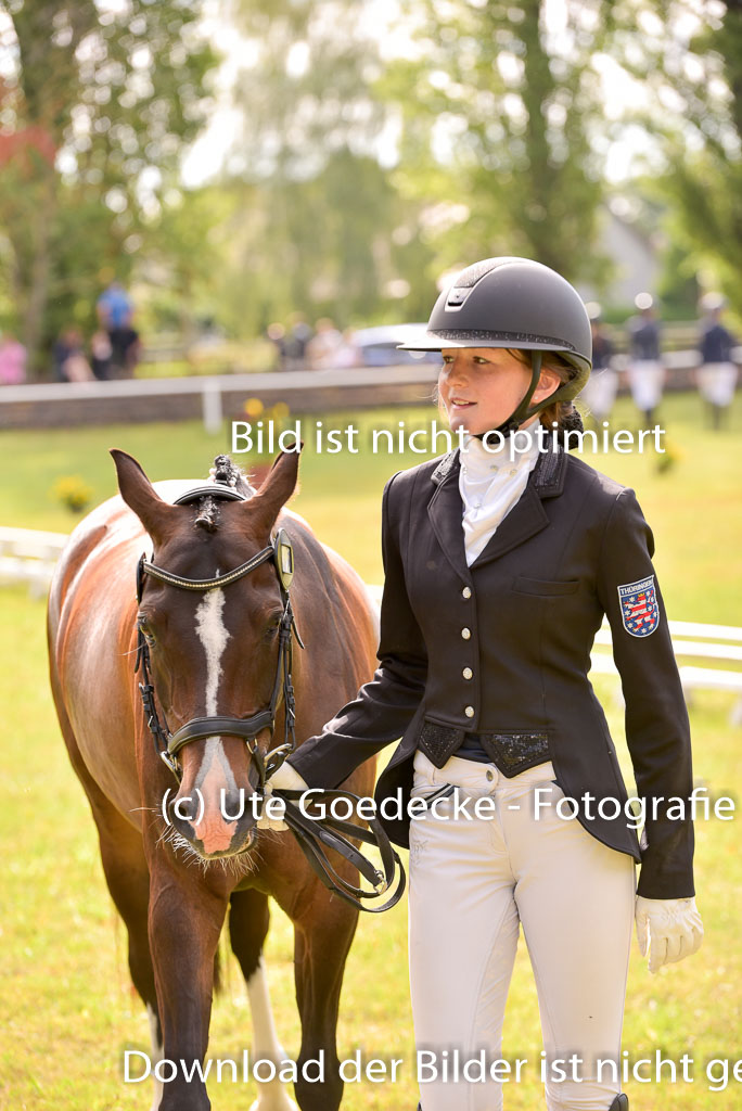 Goldene Schärpe Ponys in Hohenberg Krusemark 2024 | 14072024 Vormustern_442