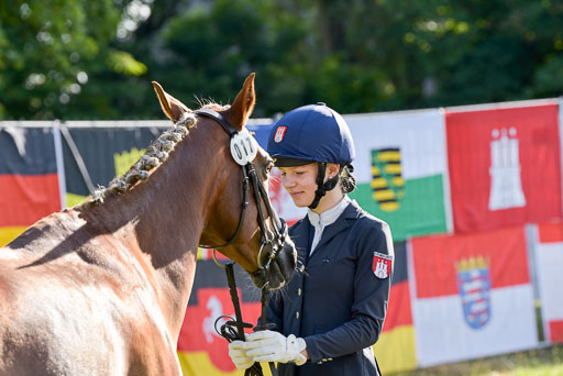 Goldene Schärpe Ponys in Hohenberg Krusemark 2024 | 14072024 Vormustern 