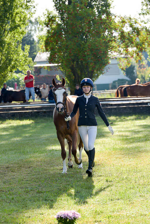 Goldene Schärpe Ponys in Hohenberg Krusemark 2024 | 14072024 Vormustern_002 