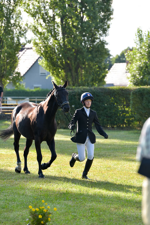 Goldene Schärpe Ponys in Hohenberg Krusemark 2024 | 14072024 Vormustern_003 