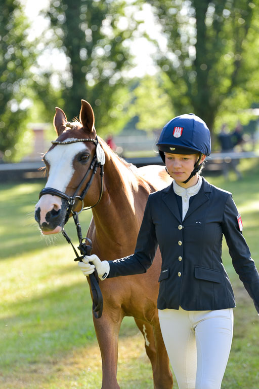 Goldene Schärpe Ponys in Hohenberg Krusemark 2024 | 14072024 Vormustern_004 