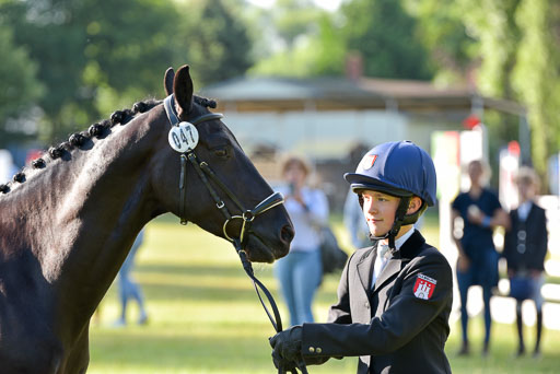 Goldene Schärpe Ponys in Hohenberg Krusemark 2024 | 14072024 Vormustern_006 