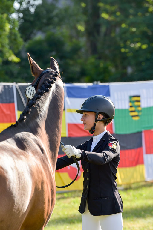 Goldene Schärpe Ponys in Hohenberg Krusemark 2024 | 14072024 Vormustern_007 