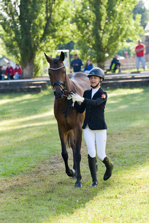 Goldene Schärpe Ponys in Hohenberg Krusemark 2024 | 14072024 Vormustern_009 