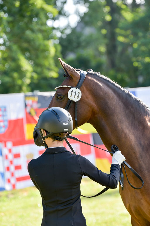 Goldene Schärpe Ponys in Hohenberg Krusemark 2024 | 14072024 Vormustern_012 