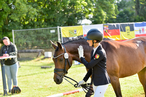 Goldene Schärpe Ponys in Hohenberg Krusemark 2024 | 14072024 Vormustern_013 