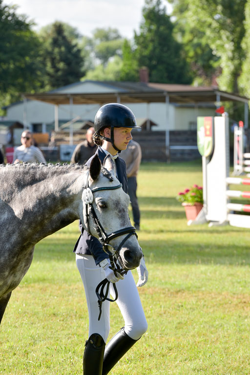 Goldene Schärpe Ponys in Hohenberg Krusemark 2024 | 14072024 Vormustern_014 