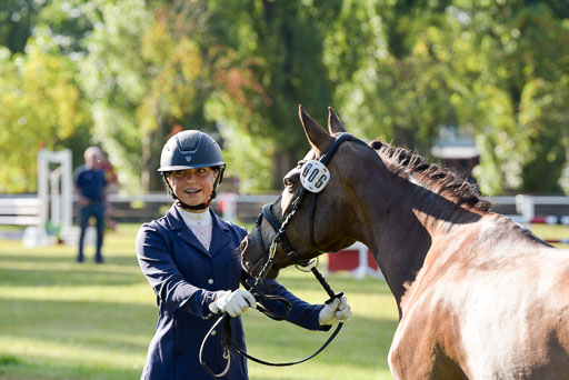 Goldene Schärpe Ponys in Hohenberg Krusemark 2024 | 14072024 Vormustern_015 
