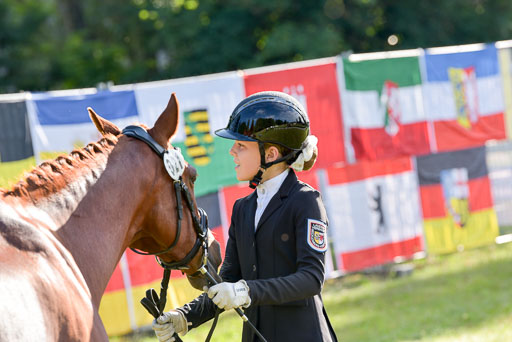 Goldene Schärpe Ponys in Hohenberg Krusemark 2024 | 14072024 Vormustern_016 