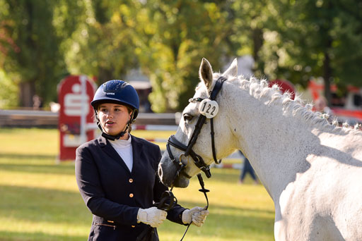 Goldene Schärpe Ponys in Hohenberg Krusemark 2024 | 14072024 Vormustern_021 