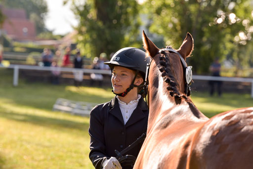 Goldene Schärpe Ponys in Hohenberg Krusemark 2024 | 14072024 Vormustern_022 